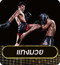 แทงมวย by betroman